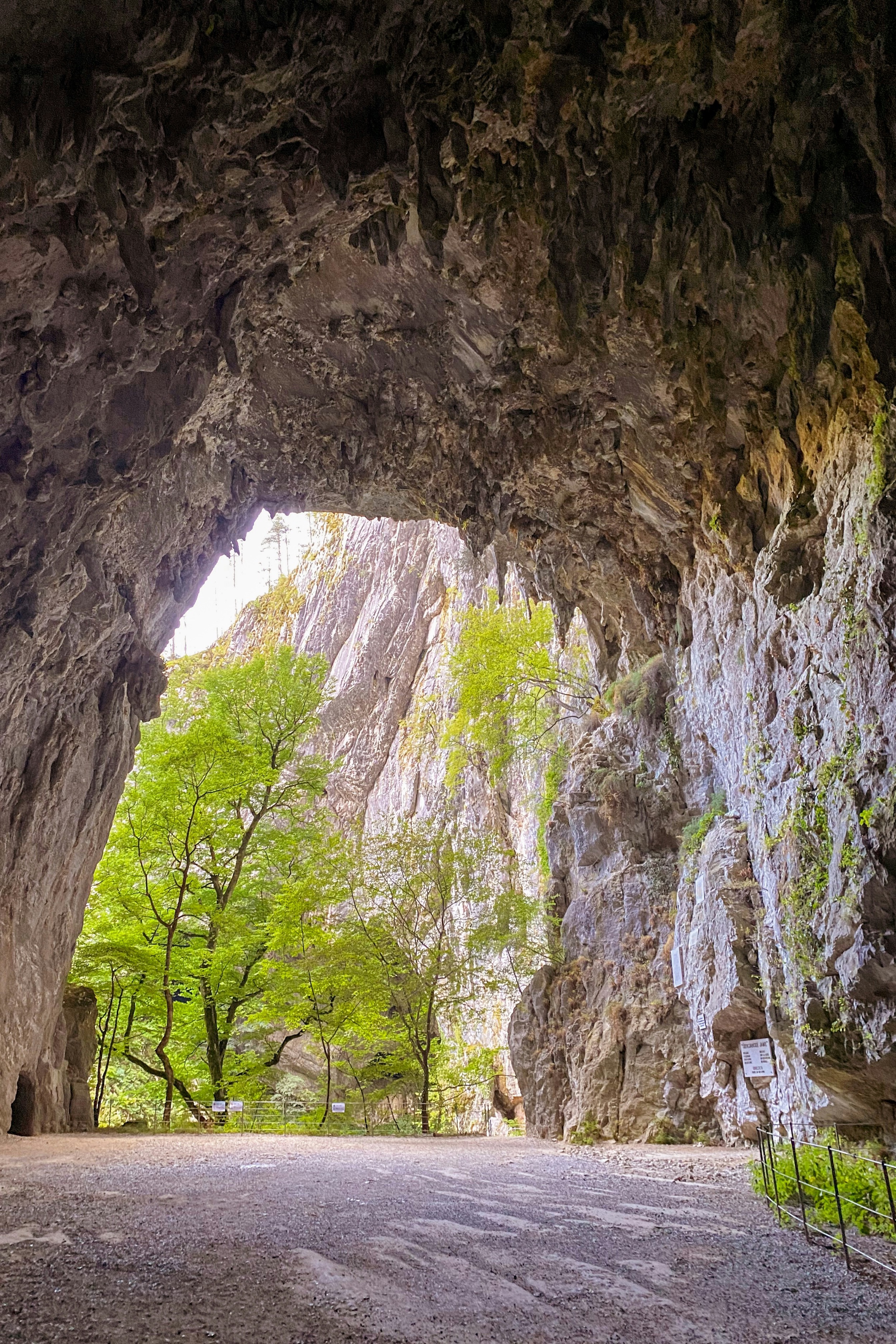 Skocjan-Caves