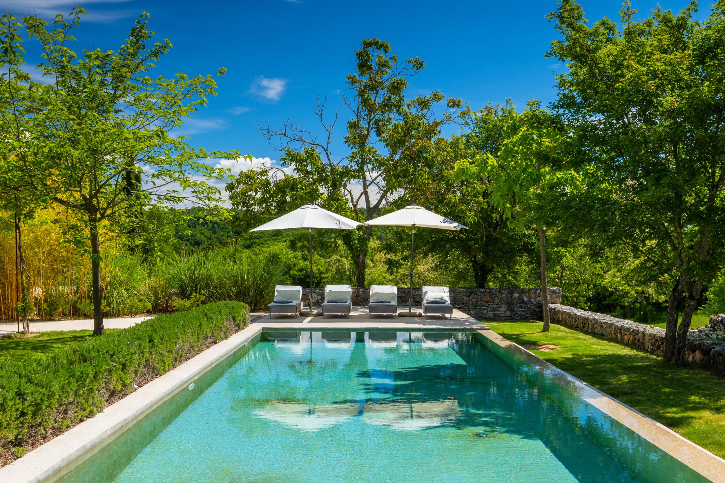 casa ceppi istria croatia pool four loungers two umbrellas tree backdrop