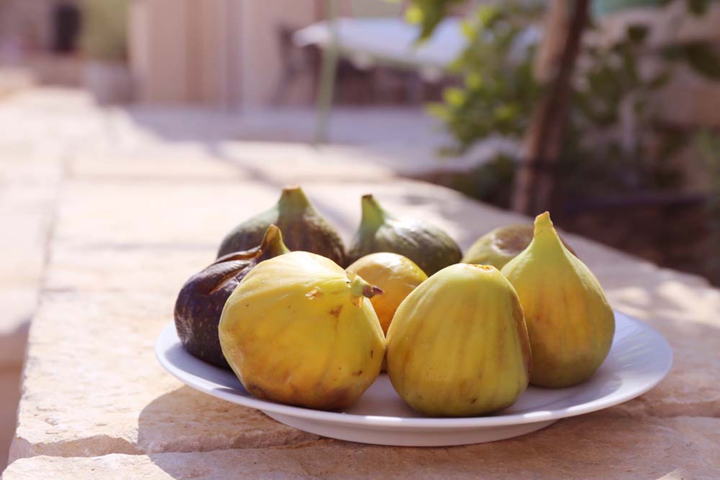 casa ceppi istria rental fruits on plate